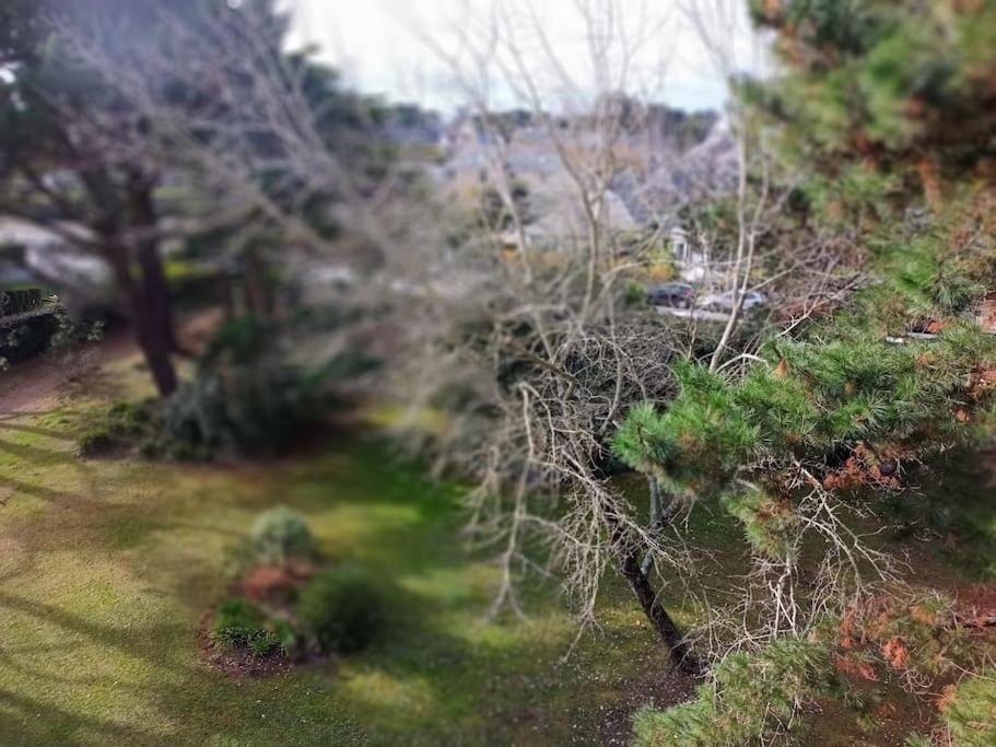Appartamento Stella Maris Carnac Esterno foto